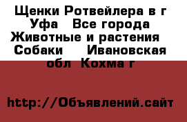 Щенки Ротвейлера в г.Уфа - Все города Животные и растения » Собаки   . Ивановская обл.,Кохма г.